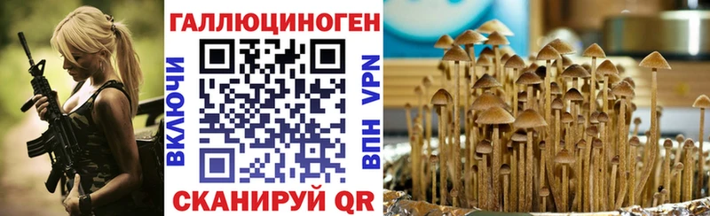 Галлюциногенные грибы GOLDEN TEACHER  цена   Еманжелинск 